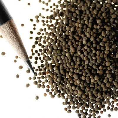 California Poppy Seeds - Image 2