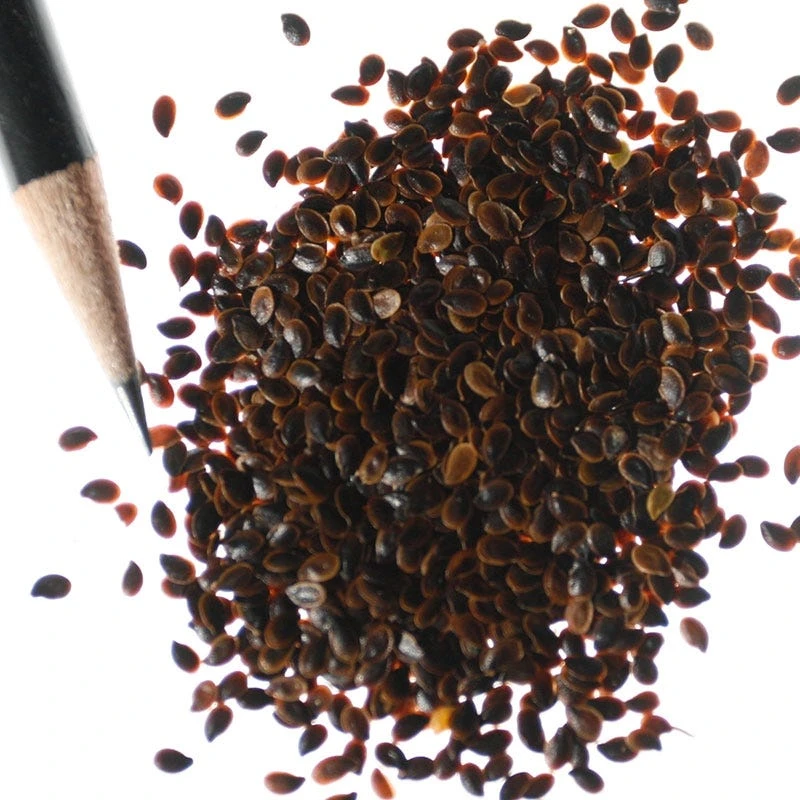 Blue Flax Seeds - Image 4