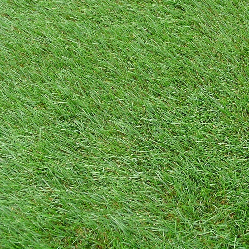 Horse Pasture And Hay Seed Mix - Image 7