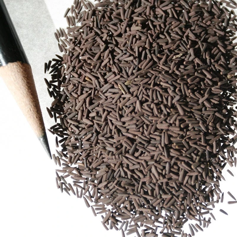 Clasping Coneflower Seeds - Image 3