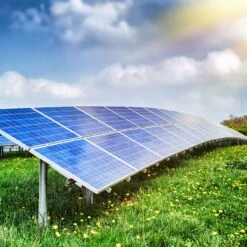 Solar Farm Color Seed Mix