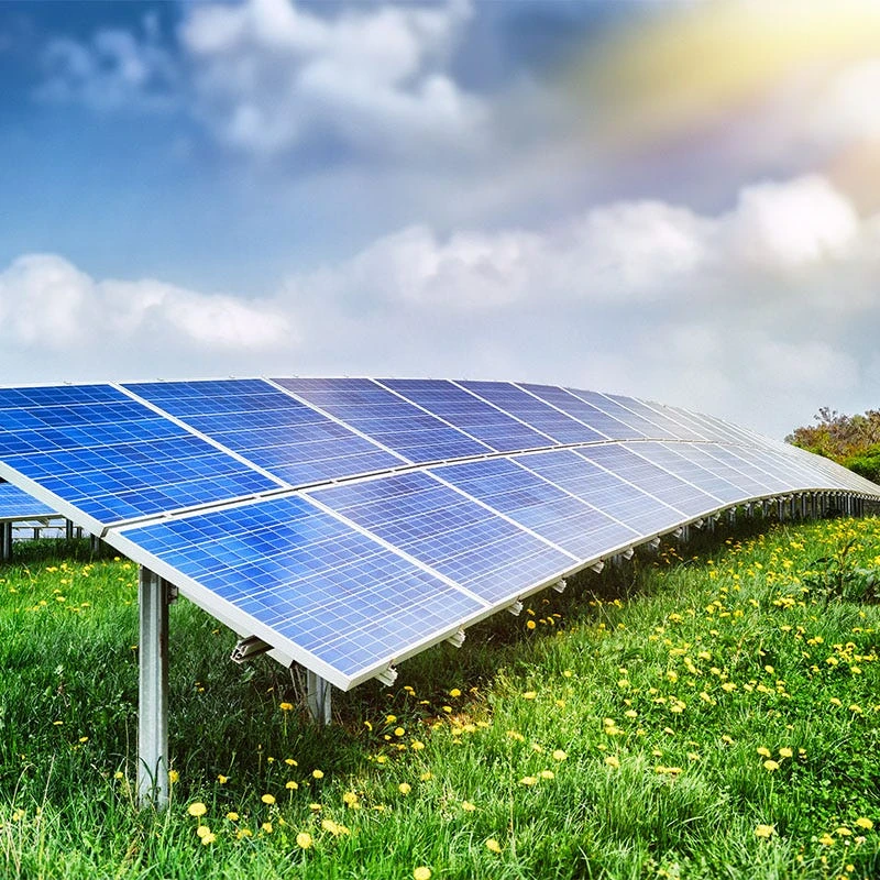 Solar Farm Color Seed Mix - Image 6