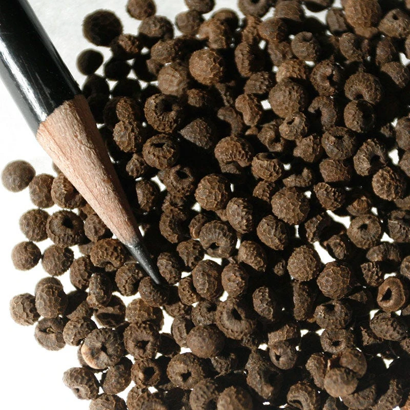 Black Eyed Susan Vine Seeds - Image 4